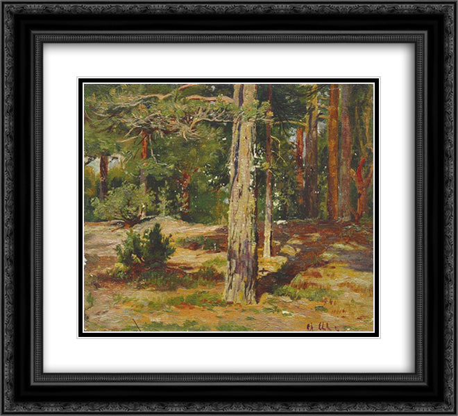 Pines. Summer Landscape 22x20 Black Ornate Wood Framed Art Print Poster with Double Matting by Shishkin, Ivan
