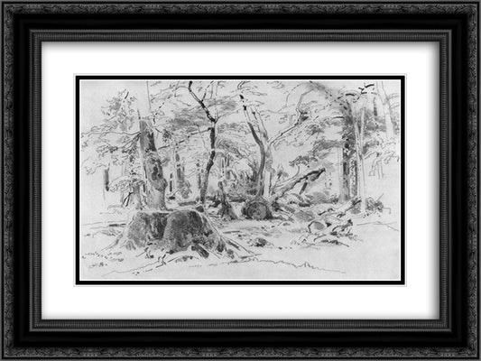 Sawn Tree 24x18 Black Ornate Wood Framed Art Print Poster with Double Matting by Shishkin, Ivan