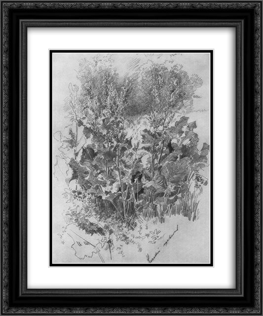 Sorrel 20x24 Black Ornate Wood Framed Art Print Poster with Double Matting by Shishkin, Ivan