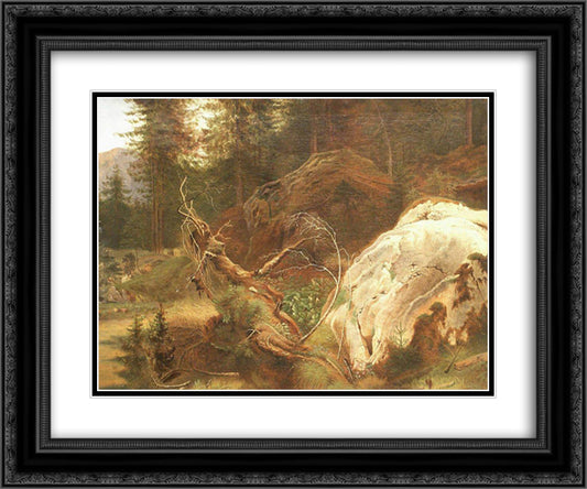 Stones in the a forest 24x20 Black Ornate Wood Framed Art Print Poster with Double Matting by Shishkin, Ivan