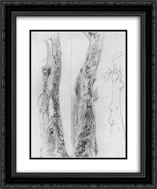 Study for the trunks 20x24 Black Ornate Wood Framed Art Print Poster with Double Matting by Shishkin, Ivan