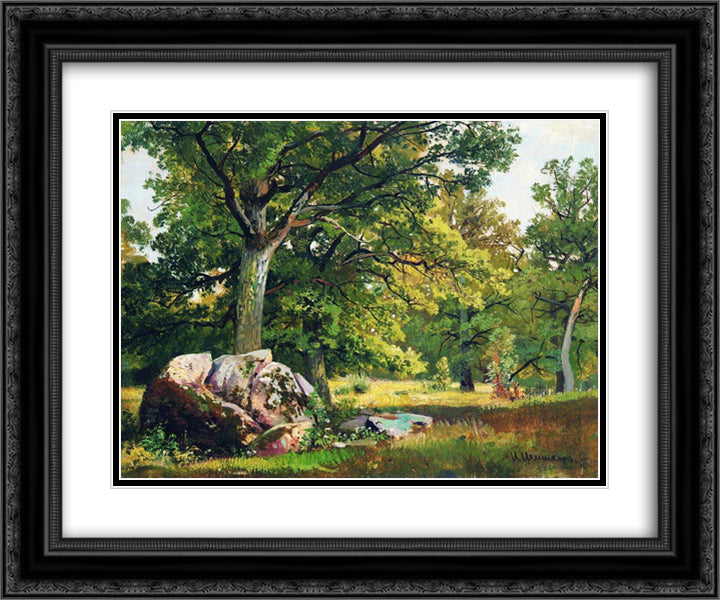 Sunny day in the woods. Oaks 24x20 Black Ornate Wood Framed Art Print Poster with Double Matting by Shishkin, Ivan