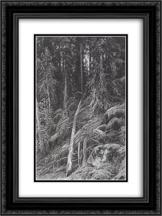 Taiga 18x24 Black Ornate Wood Framed Art Print Poster with Double Matting by Shishkin, Ivan