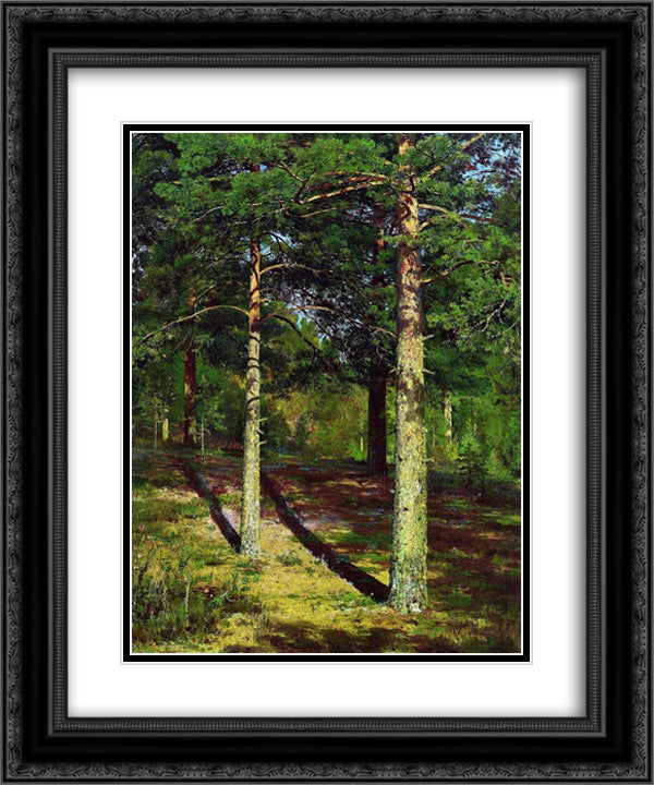 The Sun lit Pines 20x24 Black Ornate Wood Framed Art Print Poster with Double Matting by Shishkin, Ivan