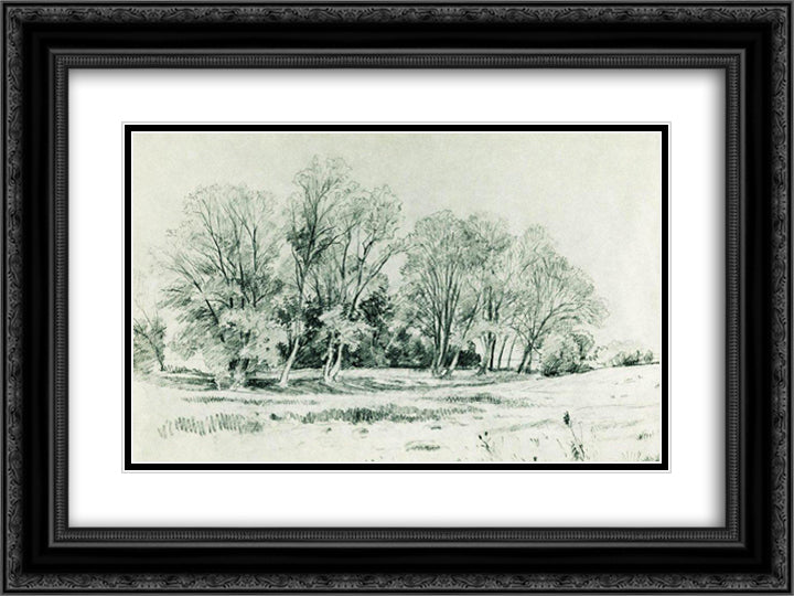 Trees in the field. Bratsevo 24x18 Black Ornate Wood Framed Art Print Poster with Double Matting by Shishkin, Ivan
