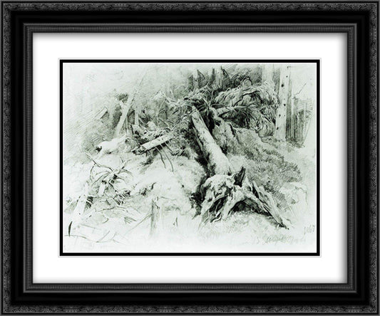 Wind Fallen Trees 24x20 Black Ornate Wood Framed Art Print Poster with Double Matting by Shishkin, Ivan