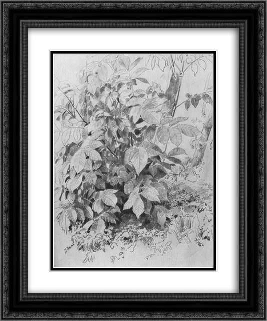 Young crop of nuts 20x24 Black Ornate Wood Framed Art Print Poster with Double Matting by Shishkin, Ivan