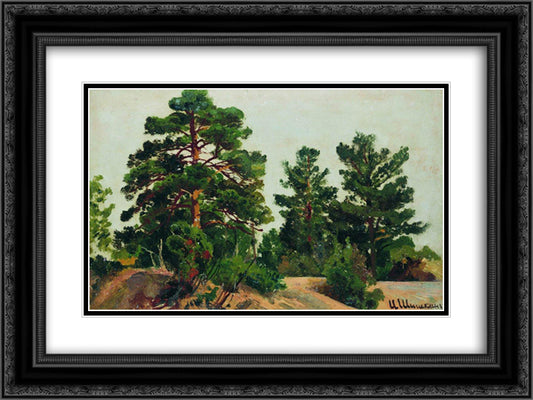 Young pines 24x18 Black Ornate Wood Framed Art Print Poster with Double Matting by Shishkin, Ivan