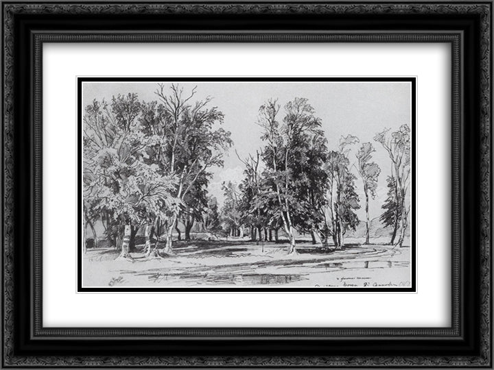 Zelenina grove 24x18 Black Ornate Wood Framed Art Print Poster with Double Matting by Shishkin, Ivan