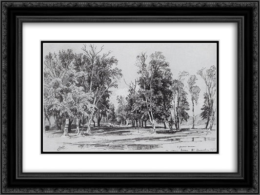 Zelenina grove 24x18 Black Ornate Wood Framed Art Print Poster with Double Matting by Shishkin, Ivan