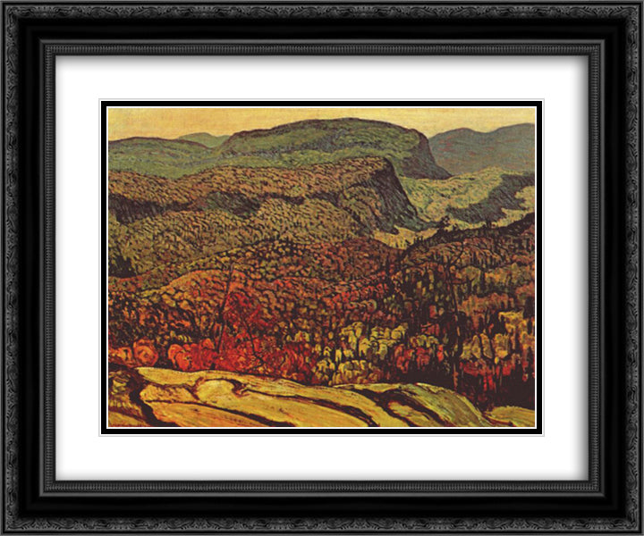 Forest Wilderness 24x20 Black Ornate Wood Framed Art Print Poster with Double Matting by MacDonald, J. E. H.
