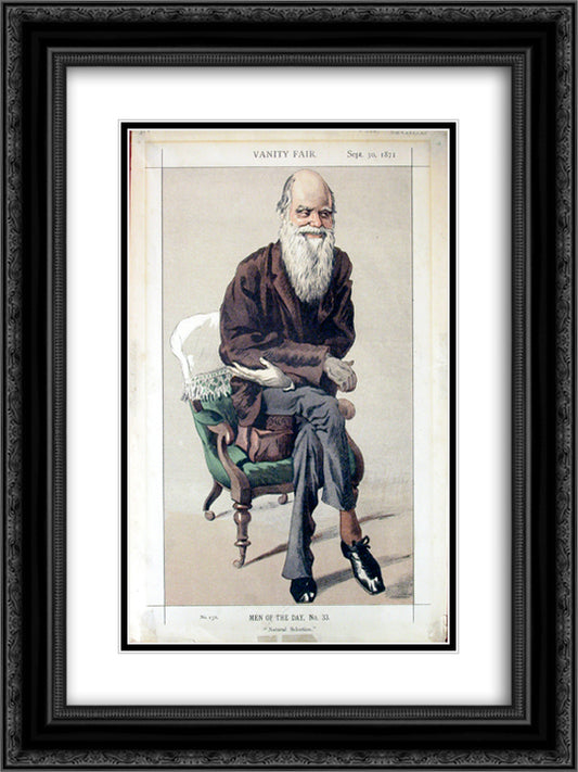 Caricature of Charles Darwin from Vanity Fair magazine 18x24 Black Ornate Wood Framed Art Print Poster with Double Matting by Tissot, James