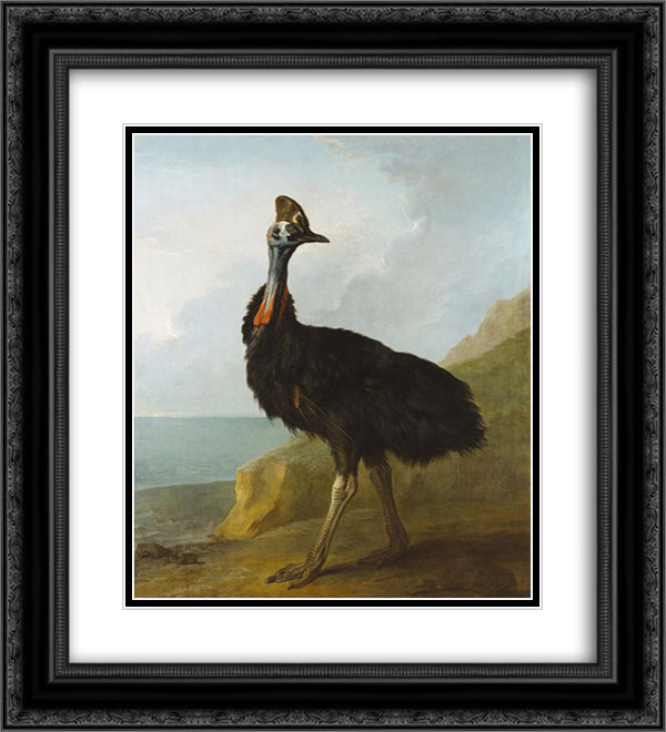 Cassowary 20x22 Black Ornate Wood Framed Art Print Poster with Double Matting by Oudry, Jean Baptiste