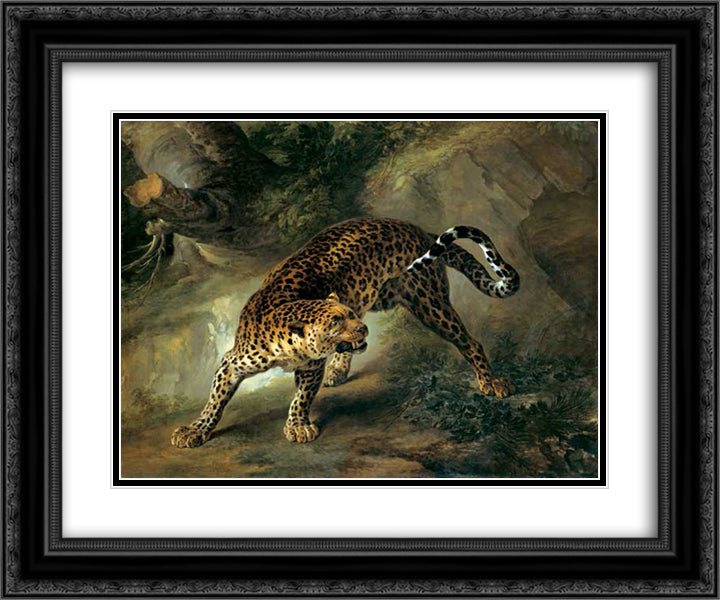 Leopard 24x20 Black Ornate Wood Framed Art Print Poster with Double Matting by Oudry, Jean Baptiste