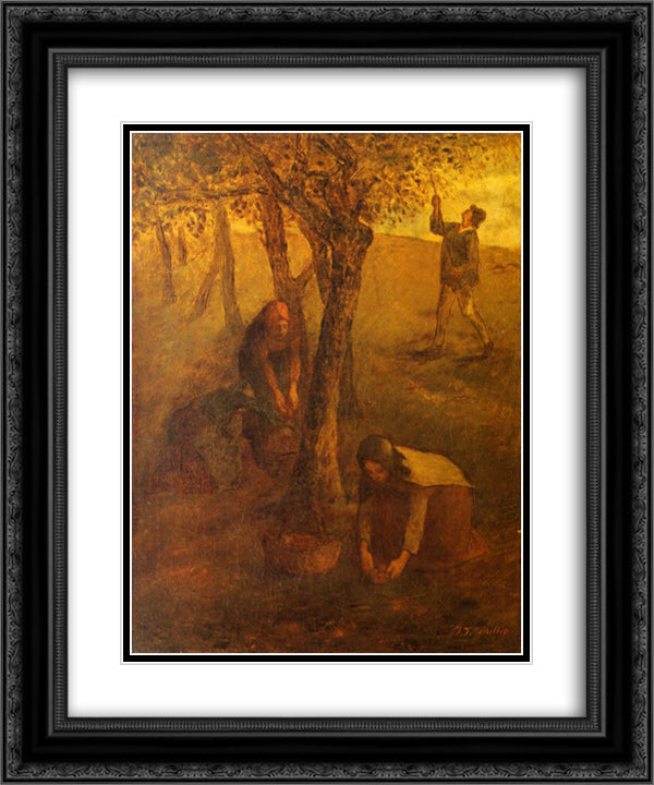 Gathering Apples 20x24 Black Ornate Wood Framed Art Print Poster with Double Matting by Millet, Jean Francois