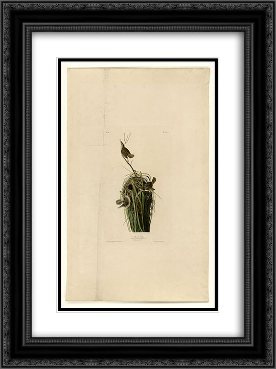 Plate 100 Marsh Wren 18x24 Black Ornate Wood Framed Art Print Poster with Double Matting by Audubon, John James