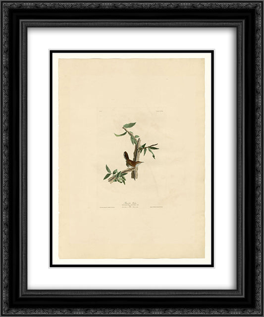 Plate 18. Bewick's Wren 20x24 Black Ornate Wood Framed Art Print Poster with Double Matting by Audubon, John James