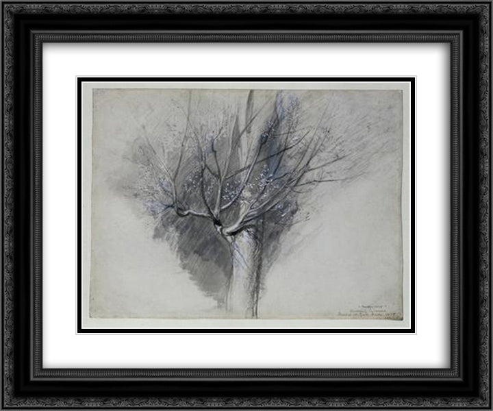Budding Sycamore 24x20 Black Ornate Wood Framed Art Print Poster with Double Matting by Ruskin, John