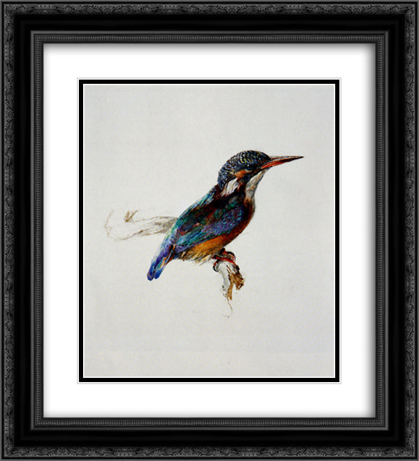 Kingfisher 20x22 Black Ornate Wood Framed Art Print Poster with Double Matting by Ruskin, John