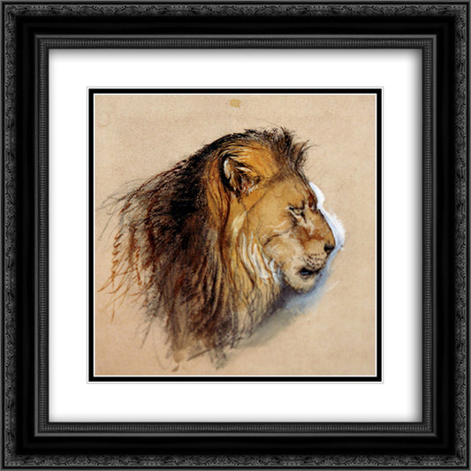 Lion's profile from life 20x20 Black Ornate Wood Framed Art Print Poster with Double Matting by Ruskin, John