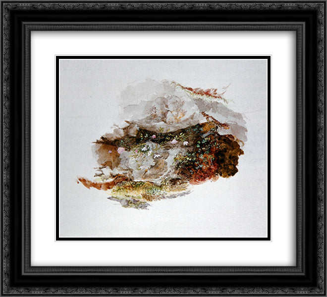 Study of Foreground Material 22x20 Black Ornate Wood Framed Art Print Poster with Double Matting by Ruskin, John