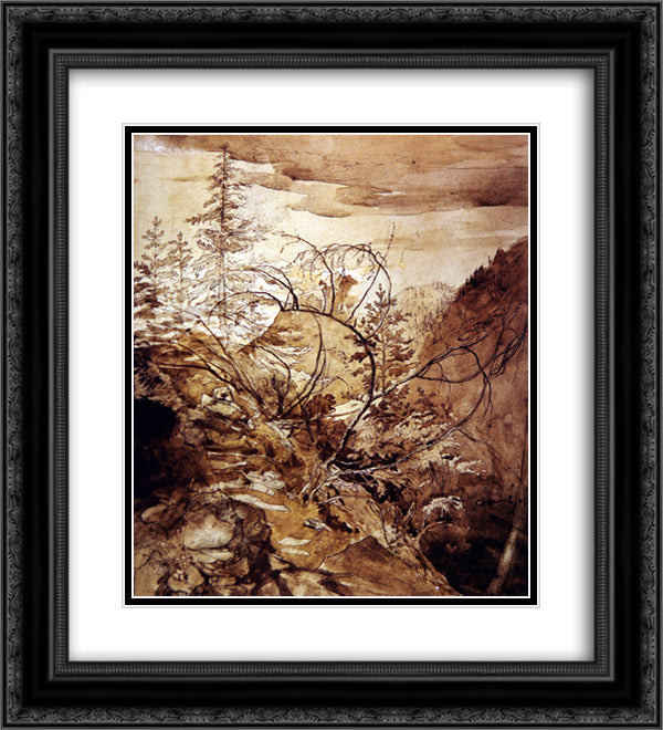 Trees and Rocks 20x22 Black Ornate Wood Framed Art Print Poster with Double Matting by Ruskin, John
