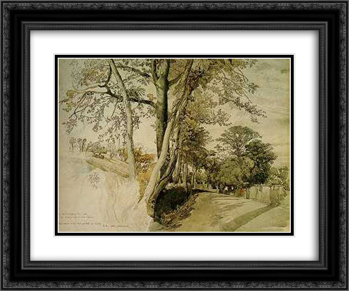 Trees Study 24x20 Black Ornate Wood Framed Art Print Poster with Double Matting by Ruskin, John