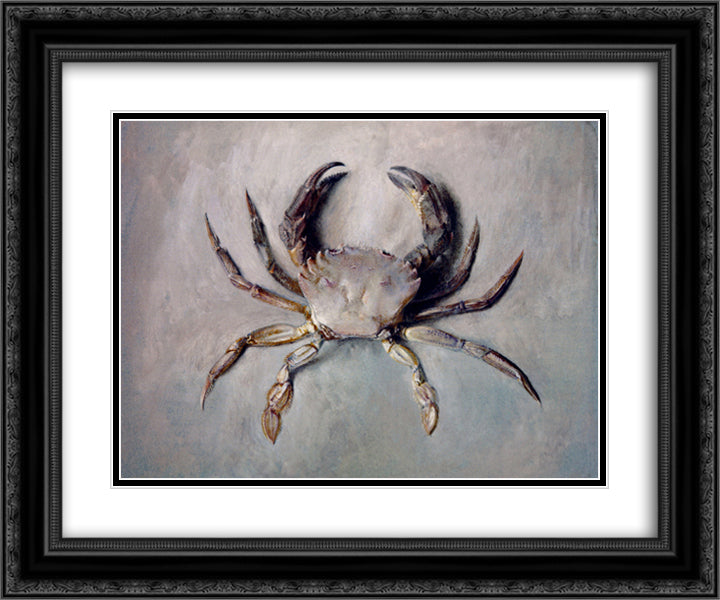 Velvet Crab 24x20 Black Ornate Wood Framed Art Print Poster with Double Matting by Ruskin, John