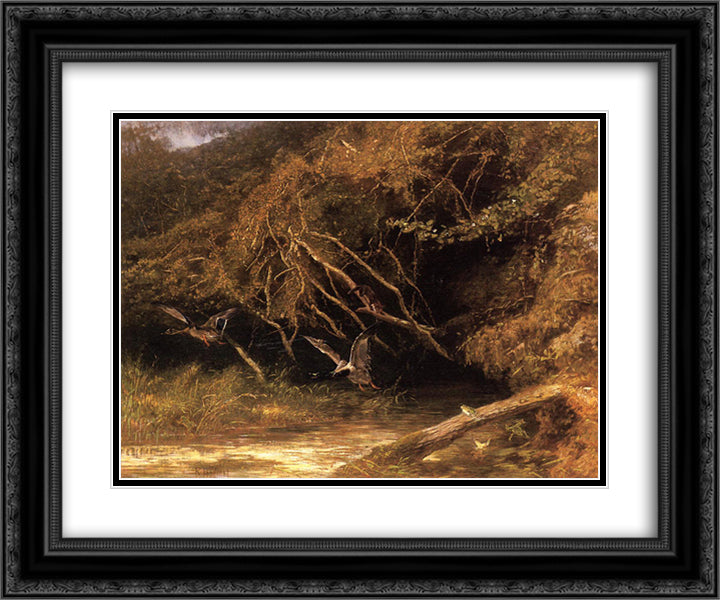 Forest with Ducks and Frogs 24x20 Black Ornate Wood Framed Art Print Poster with Double Matting by Bodmer, Karl