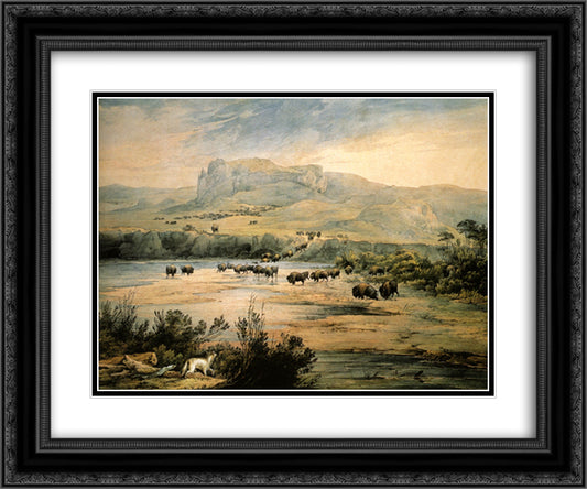 Landscape with buffalo on the upper Missouri 24x20 Black Ornate Wood Framed Art Print Poster with Double Matting by Bodmer, Karl
