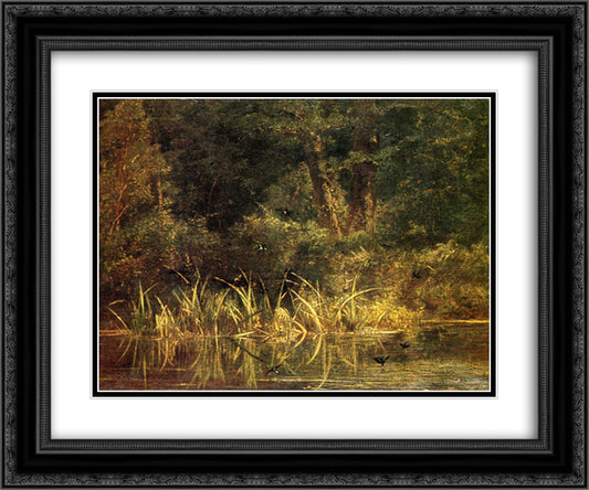 River Scene with Barn Swallows 24x20 Black Ornate Wood Framed Art Print Poster with Double Matting by Bodmer, Karl