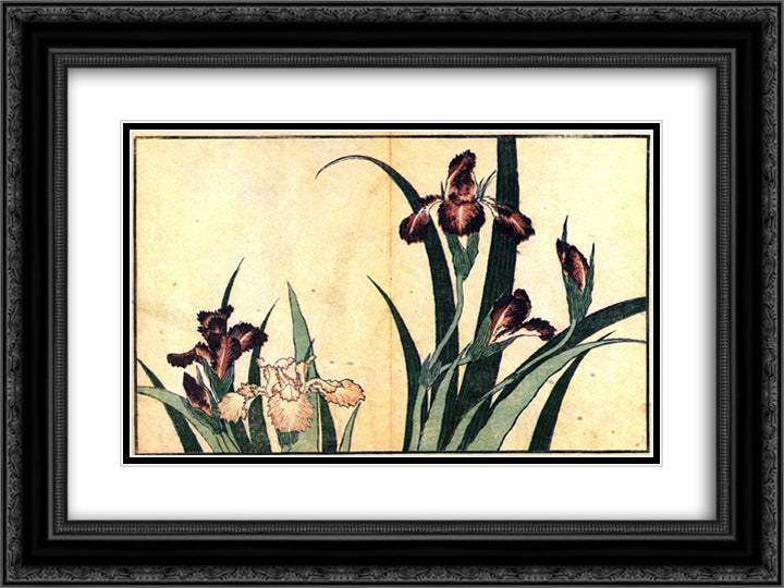 Irises 24x18 Black Ornate Wood Framed Art Print Poster with Double Matting by Hokusai, Katsushika