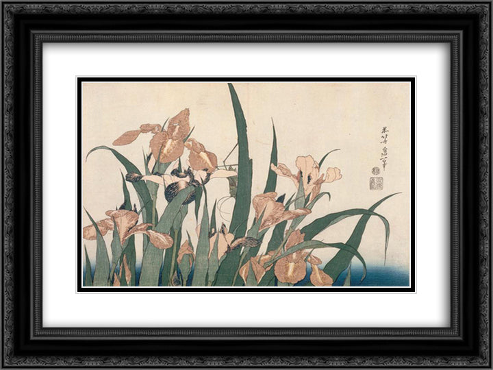 Irises and Grasshopper 24x18 Black Ornate Wood Framed Art Print Poster with Double Matting by Hokusai, Katsushika
