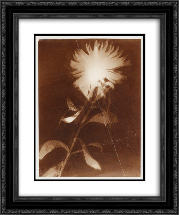 Untitled [flower] 20x24 Black Ornate Wood Framed Art Print Poster with Double Matting by Moholy Nagy, Laszlo