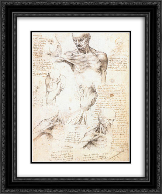 Anatomical studies of a male shoulder 20x24 Black Ornate Wood Framed Art Print Poster with Double Matting by da Vinci, Leonardo