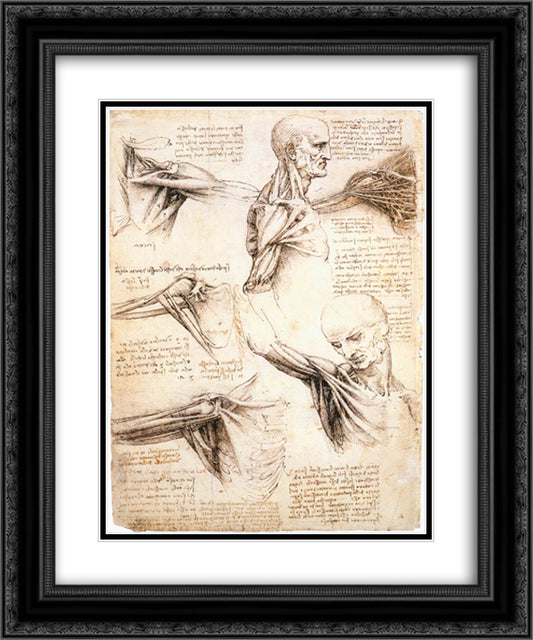 Anatomical studies of the shoulder 20x24 Black Ornate Wood Framed Art Print Poster with Double Matting by da Vinci, Leonardo