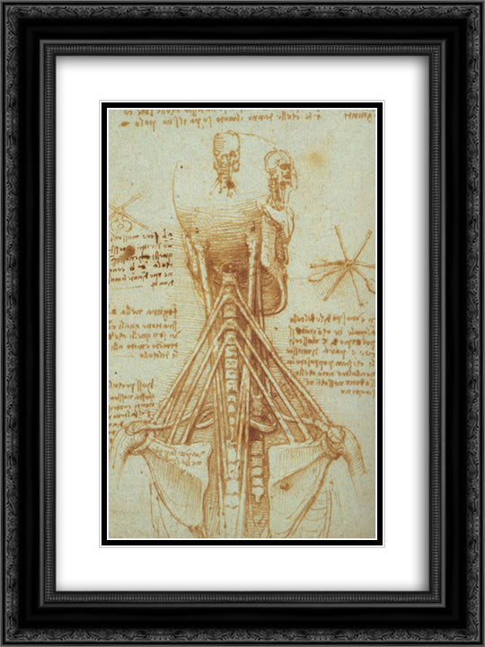 Anatomy of the Neck 18x24 Black Ornate Wood Framed Art Print Poster with Double Matting by da Vinci, Leonardo