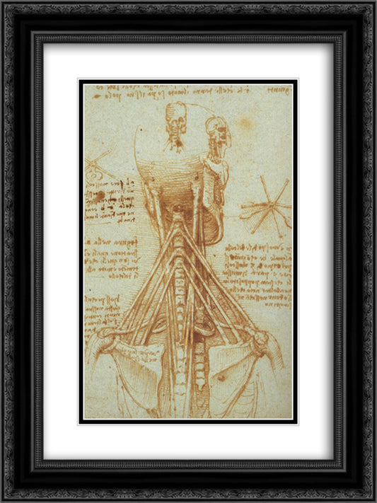 Anatomy of the Neck 18x24 Black Ornate Wood Framed Art Print Poster with Double Matting by da Vinci, Leonardo