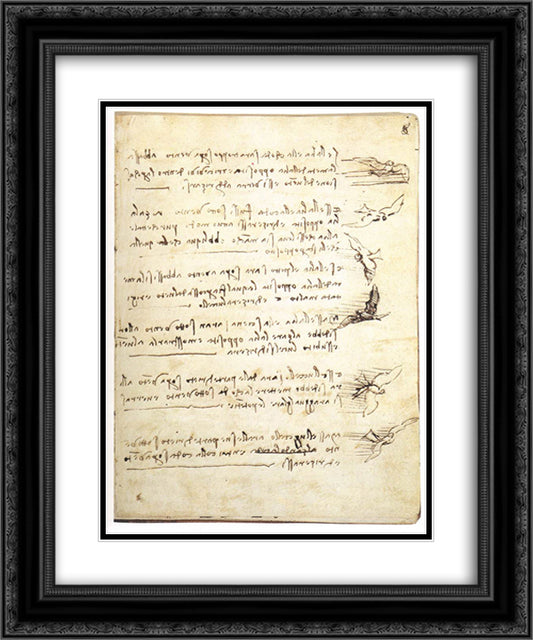 Codex on the flight of birds 20x24 Black Ornate Wood Framed Art Print Poster with Double Matting by da Vinci, Leonardo