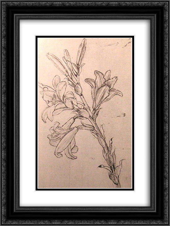 Drawing of lilies, for an Annunciation 18x24 Black Ornate Wood Framed Art Print Poster with Double Matting by da Vinci, Leonardo