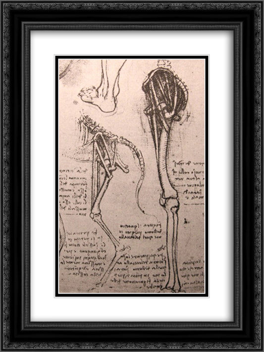 Drawing of the comparative anatomy of the legs of a man and a dog 18x24 Black Ornate Wood Framed Art Print Poster with Double Matting by da Vinci, Leonardo