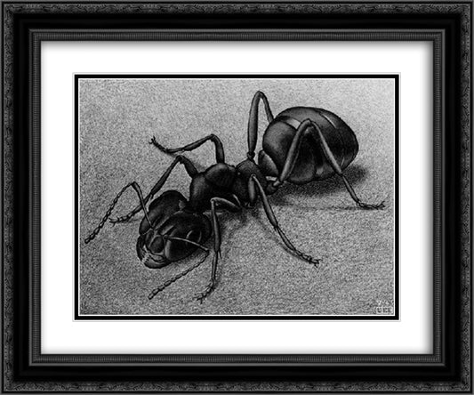 Ant 24x20 Black Ornate Wood Framed Art Print Poster with Double Matting by Escher, M.C.