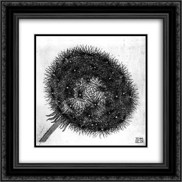 Blowball I 20x20 Black Ornate Wood Framed Art Print Poster with Double Matting by Escher, M.C.