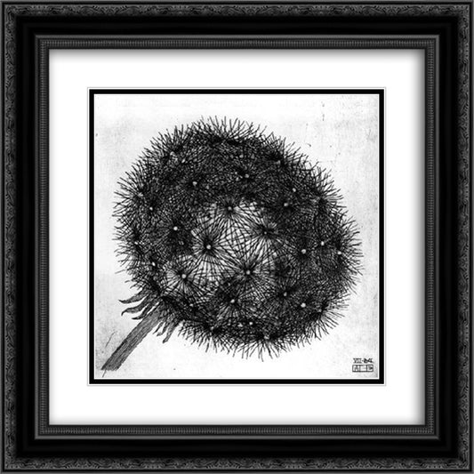 Blowball I 20x20 Black Ornate Wood Framed Art Print Poster with Double Matting by Escher, M.C.