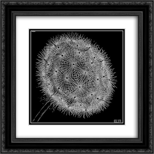 Blowball II 20x20 Black Ornate Wood Framed Art Print Poster with Double Matting by Escher, M.C.