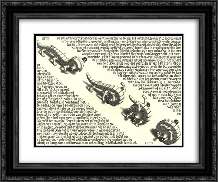 Curl Up 24x20 Black Ornate Wood Framed Art Print Poster with Double Matting by Escher, M.C.