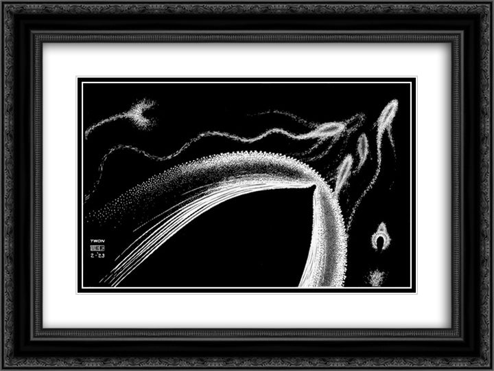 Dolphins 24x18 Black Ornate Wood Framed Art Print Poster with Double Matting by Escher, M.C.