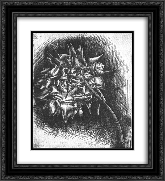 Flower 20x22 Black Ornate Wood Framed Art Print Poster with Double Matting by Escher, M.C.