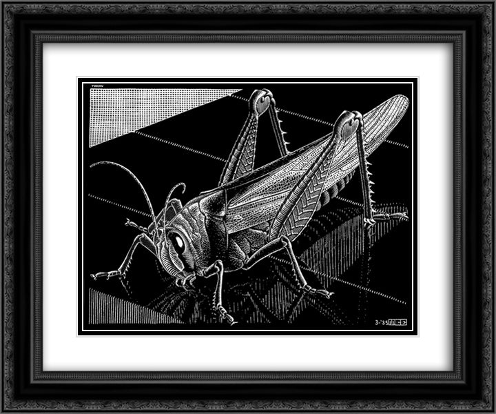 Grasshopper 24x20 Black Ornate Wood Framed Art Print Poster with Double Matting by Escher, M.C.