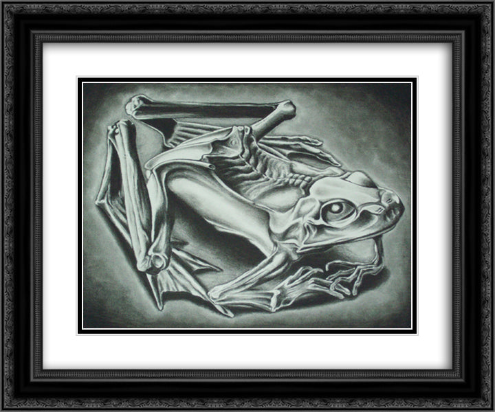 Mumified Frog 24x20 Black Ornate Wood Framed Art Print Poster with Double Matting by Escher, M.C.